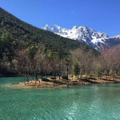 Ricardo Garcia avatar