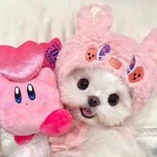 Paulo Bautista avatar