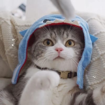 Katrina Mendoza avatar